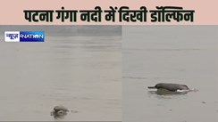 Ganga Dolphin- पटना में फिर से दिखने लगी गंगा डॉल्फिन, उछलती, कूदती अटखेलियां करती डॉल्फिन बना लोगों का आकर्षण