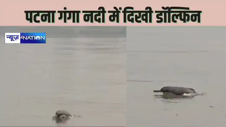 Ganga Dolphin- पटना में फिर से दिखने लगी गंगा डॉल्फिन, उछलती