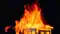 Fire broke out in the MPs apartment