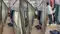 Panic in Capital Express
