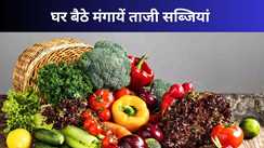 अब घर बैठे पाएं ताजी सब्जियां! 'तरकारी मार्ट' ऐप से मोतिहारी में सब्जियों की डिलीवरी शुरू