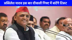 UP Politics: सपा का फोकस 2027 विधानसभा चुनाव, पंचायत चुनाव में गुटबंदी से बचने की तैयारी