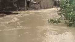 Bihar Flood: गंगा का कटाव फिर बरपा रहा कहर, दर्जनभर घर खतरे में, स्थानीय लोग पलायन को मजबूर