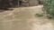 Bihar Flood: गंगा का कटाव फिर बरपा रहा कहर, दर्जनभर घर खतरे में, स्थानीय लोग पलायन को मजबूर