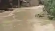 Bihar Flood: गंगा का कटाव फिर बरपा रहा कहर, दर्जनभर घर खतरे में, स्थानीय लोग पलायन को मजबूर