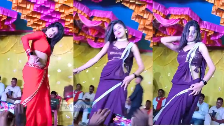 Bihar News : भागलपुर में 'सांस्कृतिक कार्यक्रम' के नाम पर बा