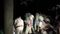 Begusarai Youth Found Dead 