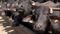 Buffalo meat export