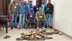 Gaya RPF Busts Turtle Smuggling on Doon Express