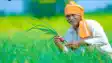 Bihar Farmers May Lose 2000 PM Kisan Installment Over Small Error