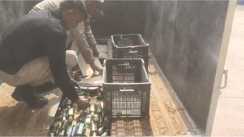 Bihar News : भोजपुर में उत्पाद विभाग की टीम ने की बड़ी कार्रवाई, पिकअप के गुप्त तहखाने से विदेशी शराब की बड़ी खेप किया बरामद, तस्कर को किया गिरफ्तार