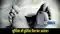 Purina police van accident: