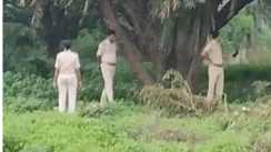 Girl found in bushes Gaya