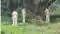 Girl found in bushes Gaya