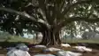 55 Killed in Bihar Massacre That Changed the State Politics