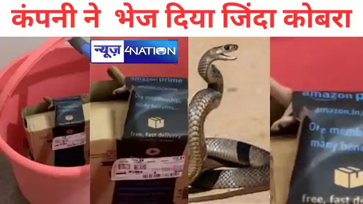 कपल ने Amazon से ऑर्डर किया सामान , कंपनी ने भेज दिया जिंदा कपल ने Amazon से ऑर्डर किया सामान , कंपनी ने भेज दिया जिंदा