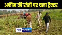 गया पुलिस ने मादक पदार्थ के कारोबारियों पर कसा शिकंजा, लहलहाते अफीम की खेती को किया नष्ट 