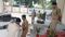 Bihar News : मुजफ्फरपुर में डीआईजी ने 'गोद' लिए गए सदर थाने का किया औचक निरीक्षण, कहा- 'इसे बनाएंगे मॉडल थाना'