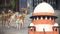 Supreme Courts decision on stray dogs
