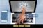 Nawada Cyber Crime