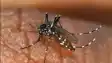 Dengue Cases Surge in Patna 