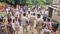 Vaishali Thieves Steal 