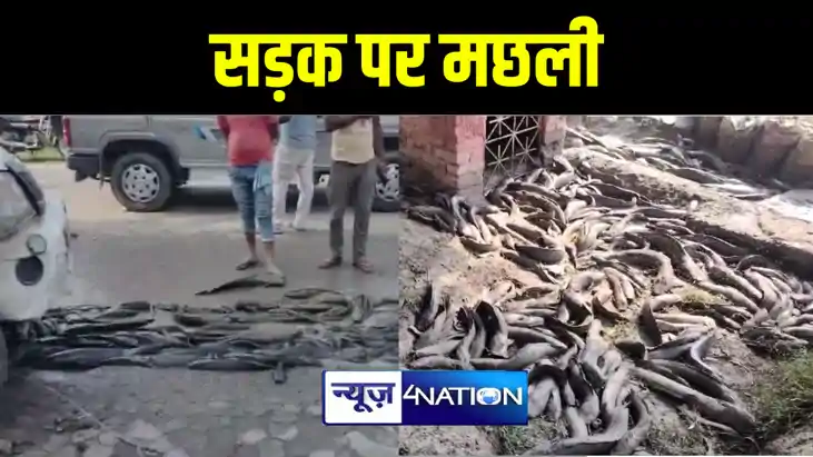 पूर्णिया में बिजली की खम्भे से टकराई अनियंत्रित पिकअप, सड़क प