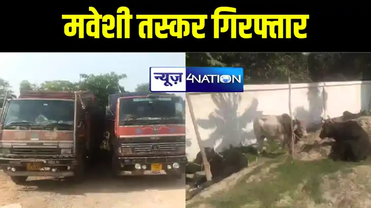 कटिहार में दो ट्रकों पर लदे 50 मवेशियों को पुलिस ने किया बरा