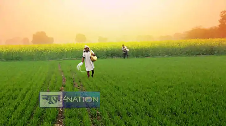Union Budget 2025: किसानों के लिए बजट में क्या कुछ रहा खास, 
