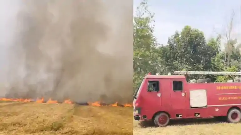 Bikram Patna wheat crop fire accident
