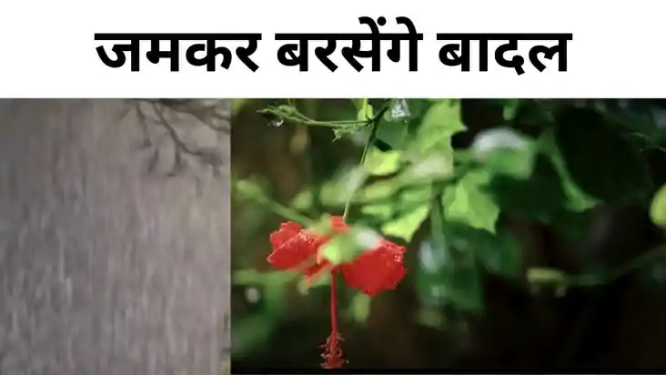 बिहार होगा पानी-पानी! कहीं हल्की तो कहीं होगी मूसलाधार बारिश