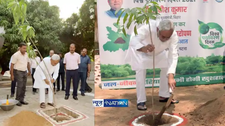 saplings planted in Van Mahotsav