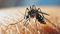 Dengue Surge in Patna 61 Cases Reported in August So Far