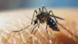 Dengue Surge in Patna 61 Cases Reported in August So Far