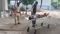 Lakhisarai Murder 