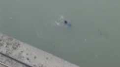 Bihar News: खगड़िया में डुमरी घाट पुल से दंपति ने लगाई छलांग, दोनों लापता, गोताखोरों के साथ प्रशासन का सर्च ऑपरेशन जारी