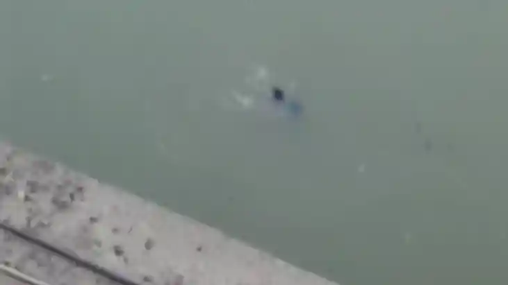 Bihar News: खगड़िया में डुमरी घाट पुल से दंपति ने लगाई छलांग,