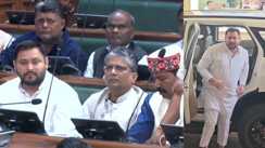 तेजस्वी यादव 