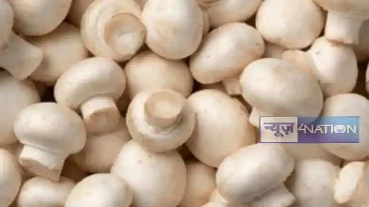 Bihar 1st Mushroom Mall: बिहार का पहला मशरूम मॉल,जानिए कहां 