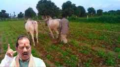 Land Disputes Stall Mutation Farmer ID Drive Slows Despite Crackdown