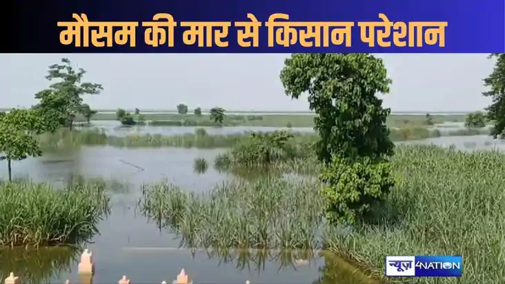 कभी सुखाड़ तो कभी बाढ़ की मार झेल रहे गन्ना किसान, बाढ़ के प कभी सुखाड़ तो कभी बाढ़ की मार झेल रहे गन्ना किसान, बाढ़ के प