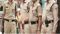 Bihar Police
