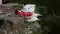 Ahmedabad plane crash