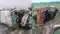 Road Accident: रफ्तार ने  बरपाया कहर! शादी से लौटने के दौरान  बोलेरो और ट्रेलर के बीच टक्कर, 9 की मौत से मचा कोहराम 