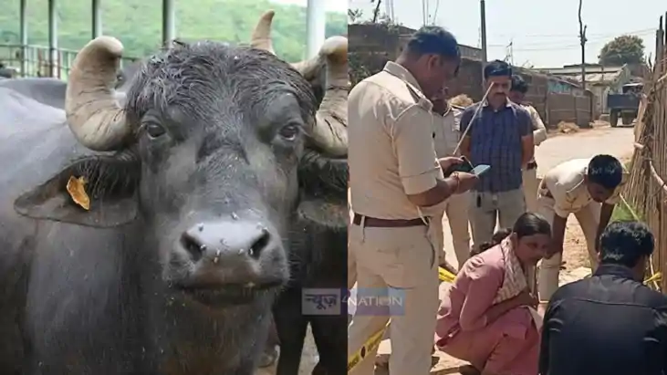 Bihar News: मुजफ्फरपुर में भैंस चोरी के आरोप युवक की पीट पीट