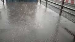 मुजफ्फरपुर में कुदरत का कहर: भारी बारिश और ओलावृष्टि से जनजीवन अस्त-व्यस्त, आम और लीची की फसल को भारी नुकसान