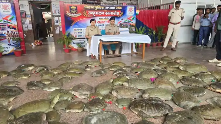 कछुआ बरामद 