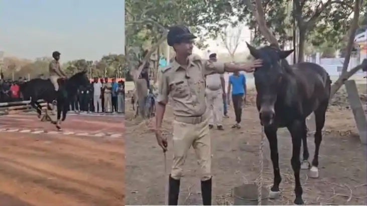 मैदान में उतरते ही गायब हो जाती है धूल! जिसने 11 गोल्ड दिलाक