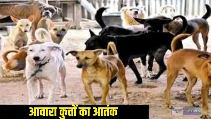 Street Dogs Street Dogs