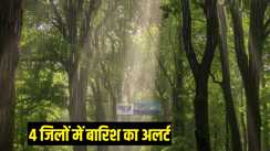 बारिश 